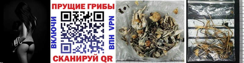 Псилоцибиновые грибы MAGIC MUSHROOMS  Старый Оскол 